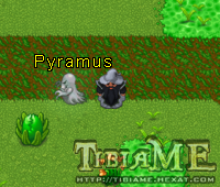 Pyramus