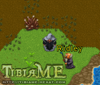 Ridley