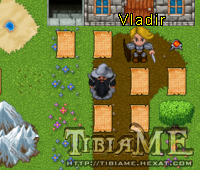 Vladir