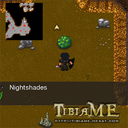 Nightshades