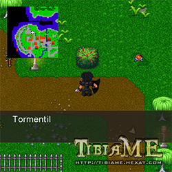 Tormentil